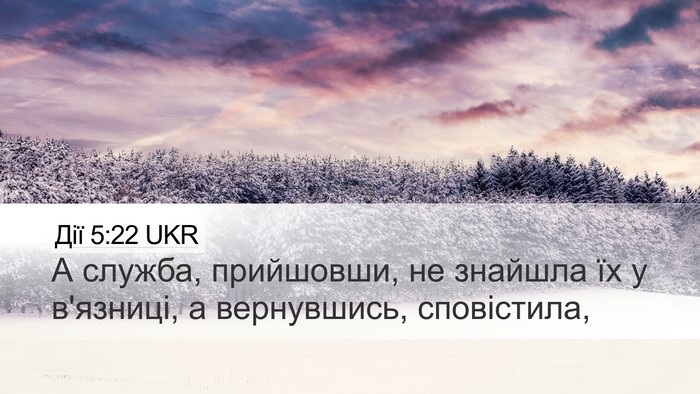 Дії 5:22 UKR Desktop Wallpaper - А служба, прийшовши, не - Desktop Bible Verse Wallpaper