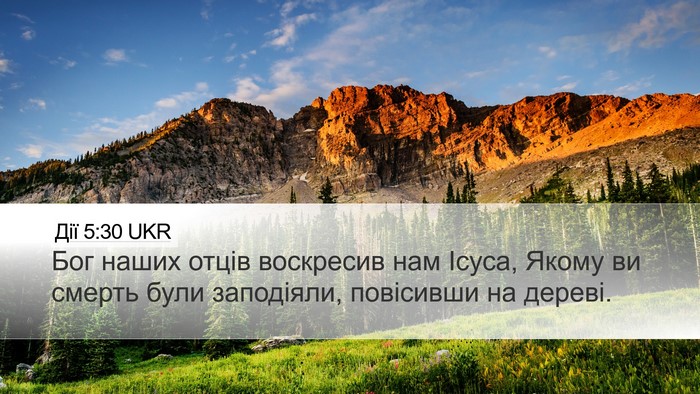 Дії 5:30 UKR Bible Verse Image