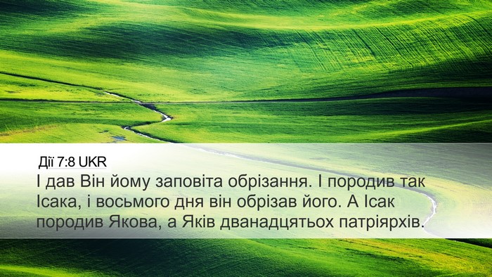 Дії 7:8 UKR Bible Verse Image