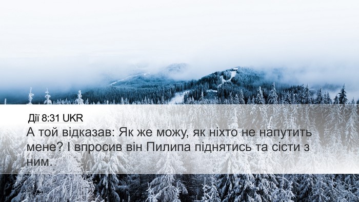 Дії 8:31 UKR Bible Verse Image