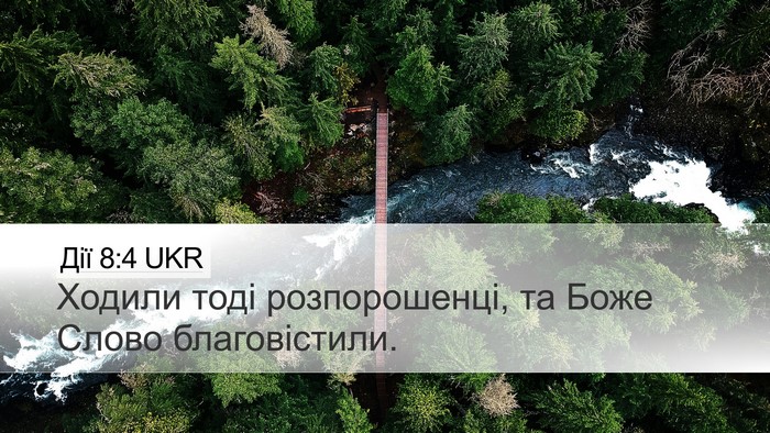 Дії 8:4 UKR Bible Verse Image