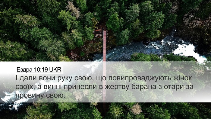 Ездра 10:19 UKR Bible Verse Image