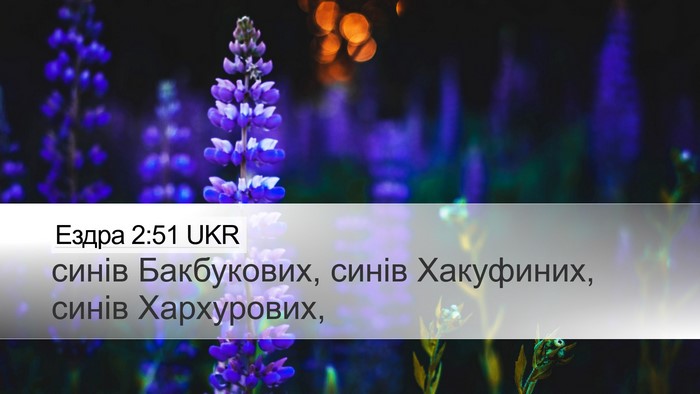 Ездра 2:51 UKR Desktop Wallpaper - синів Бакбукових, синів - Desktop Bible Verse Wallpaper