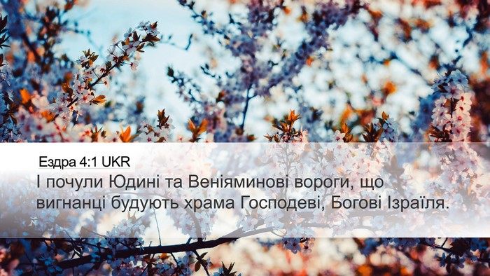 Ездра 4:1 UKR Bible Verse Image