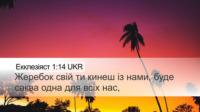 Екклезіяст 1:14 UKR Desktop Wallpaper - Жеребок свій ти кинеш із - Desktop Bible Verse Wallpaper