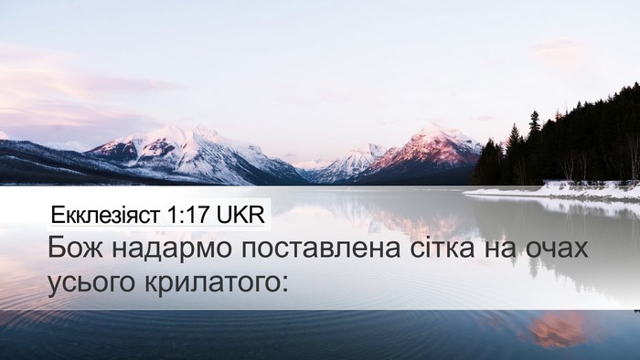 Екклезіяст 1:17 UKR Bible Verse Image