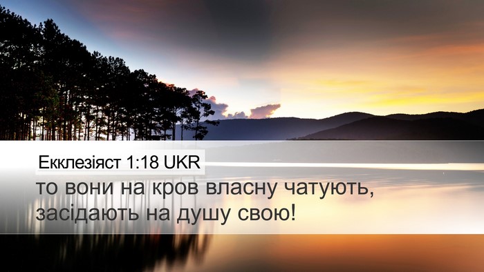 Екклезіяст 1:18 UKR Bible Verse Image