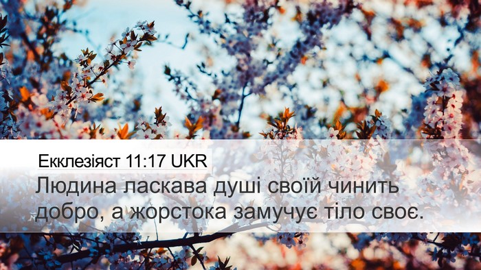 Екклезіяст 11:17 UKR Bible Verse Image