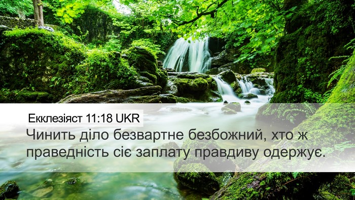 Екклезіяст 11:18 UKR Bible Verse Image