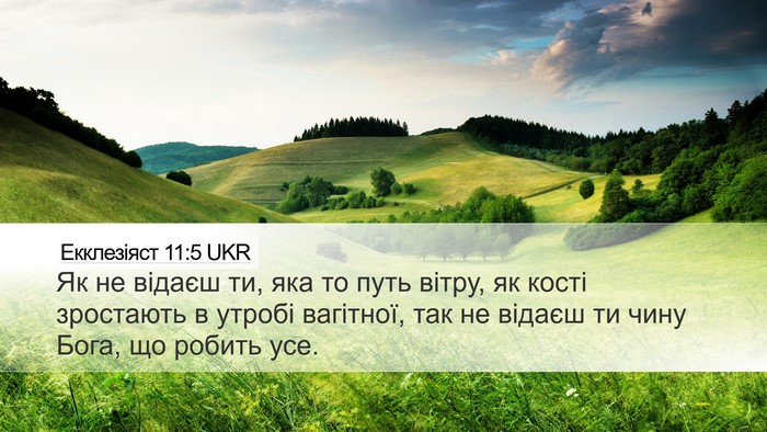 Екклезіяст 11:5 UKR Bible Verse Image