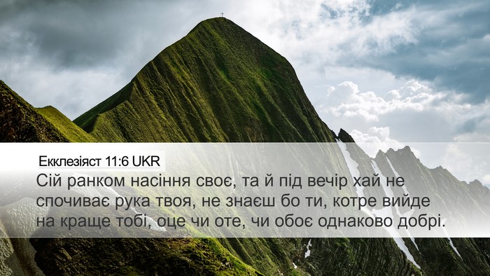 Екклезіяст 11:6 UKR Bible Verse Image