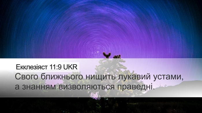 Екклезіяст 11:9 UKR Bible Verse Image