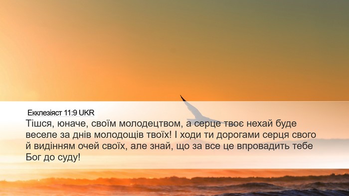 Екклезіяст 11:9 UKR Bible Verse Image