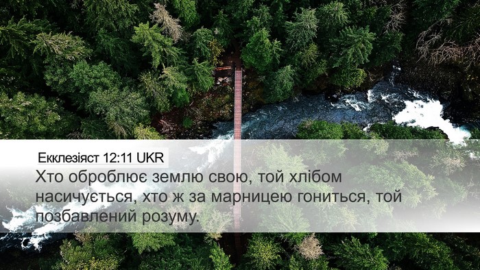 Екклезіяст 12:11 UKR Bible Verse Image