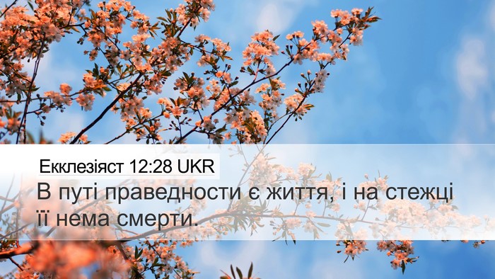 Екклезіяст 12:28 UKR Bible Verse Image