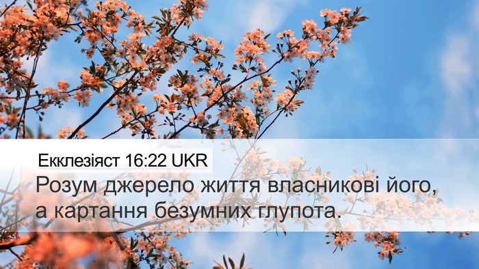 Екклезіяст 16:22 UKR Bible Verse Image