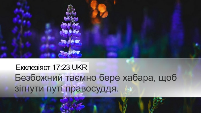 Екклезіяст 17:23 UKR Bible Verse Image