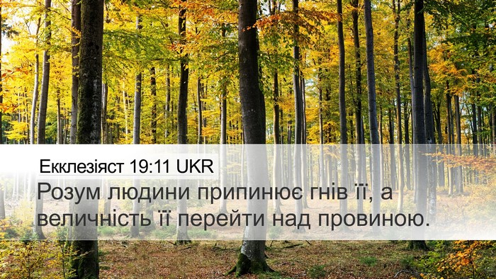 Екклезіяст 19:11 UKR Desktop Wallpaper - Розум людини припинює гнів - Desktop Bible Verse Wallpaper