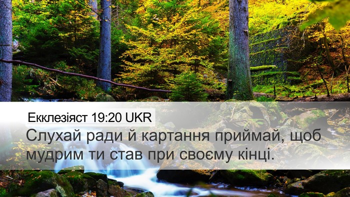 Екклезіяст 19:20 UKR Bible Verse Image