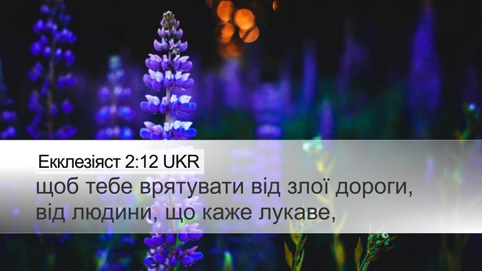 Екклезіяст 2:12 UKR Bible Verse Image