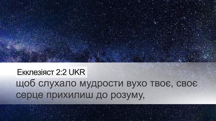 Екклезіяст 2:2 UKR Bible Verse Image