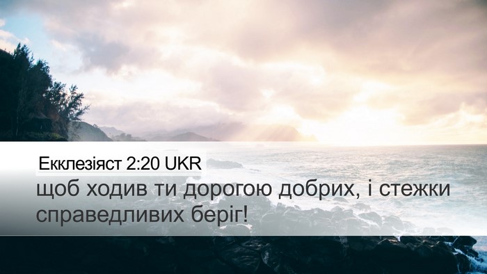 Екклезіяст 2:20 UKR Bible Verse Image