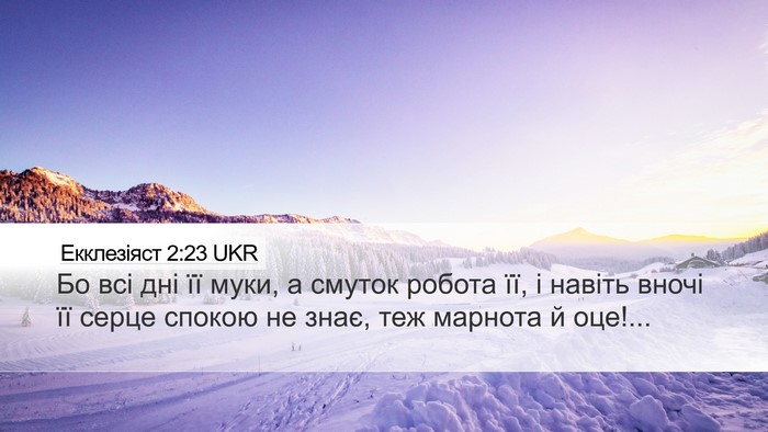 Екклезіяст 2:23 UKR Bible Verse Image
