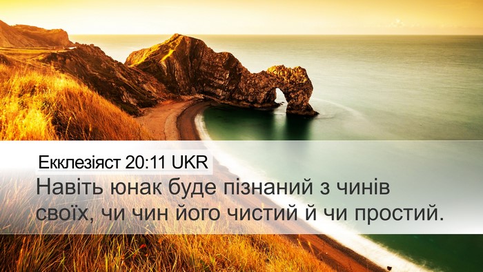 Екклезіяст 20:11 UKR Bible Verse Image