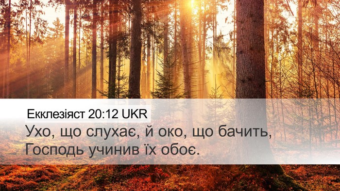 Екклезіяст 20:12 UKR Bible Verse Image