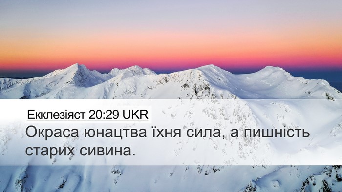 Екклезіяст 20:29 UKR Bible Verse Image
