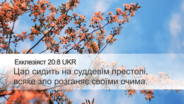 Екклезіяст 20:8 UKR Bible Verse Image