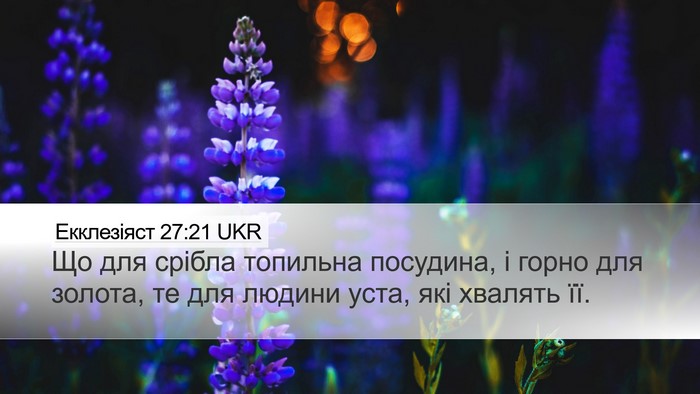 Екклезіяст 27:21 UKR Bible Verse Image
