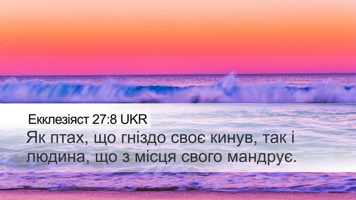Екклезіяст 27:8 UKR Bible Verse Image