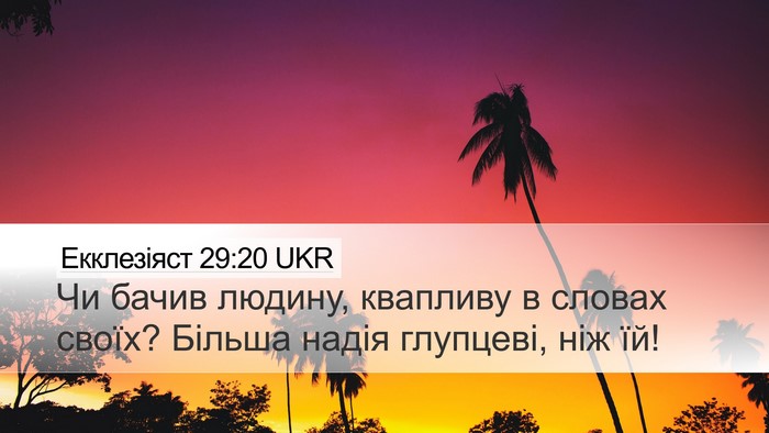 Екклезіяст 29:20 UKR Bible Verse Image
