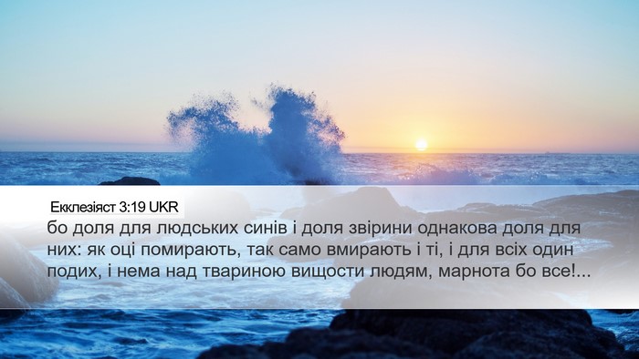 Екклезіяст 3:19 UKR Bible Verse Image