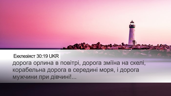 Екклезіяст 30:19 UKR Desktop Wallpaper - дорога орлина в повітрі, - Desktop Bible Verse Wallpaper