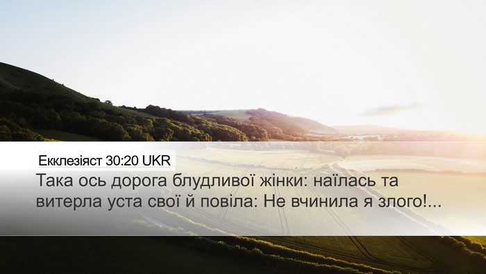 Екклезіяст 30:20 UKR Bible Verse Image