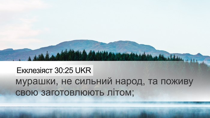 Екклезіяст 30:25 UKR Bible Verse Image