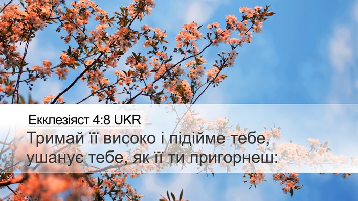 Екклезіяст 4:8 UKR Desktop Wallpaper - Тримай її високо і підійме - Desktop Bible Verse Wallpaper