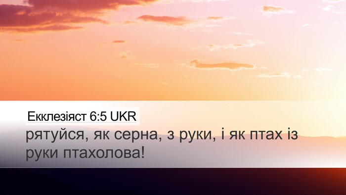 Екклезіяст 6:5 UKR Bible Verse Image
