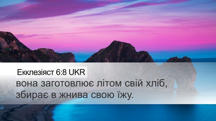 Екклезіяст 6:8 UKR Desktop Wallpaper - вона заготовлює літом свій - Desktop Bible Verse Wallpaper
