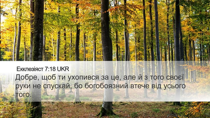 Екклезіяст 7:18 UKR Bible Verse Image