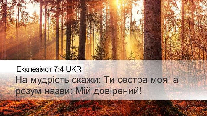 Екклезіяст 7:4 UKR Desktop Wallpaper - На мудрість скажи: Ти - Desktop Bible Verse Wallpaper