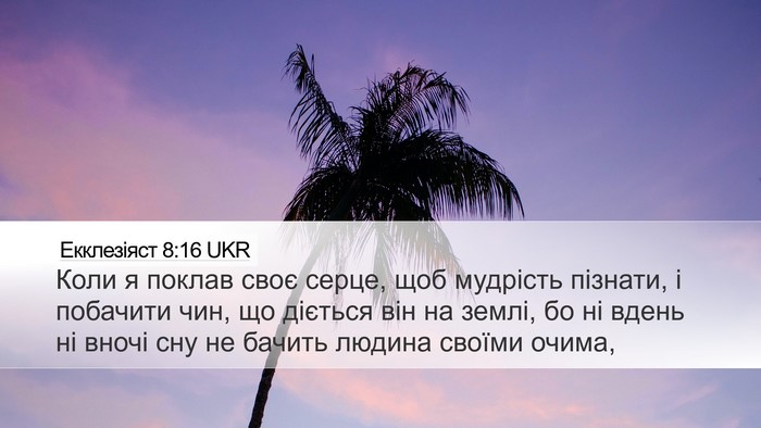 Екклезіяст 8:16 UKR Bible Verse Image