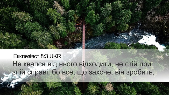Екклезіяст 8:3 UKR Desktop Wallpaper - Не квапся від нього - Desktop Bible Verse Wallpaper