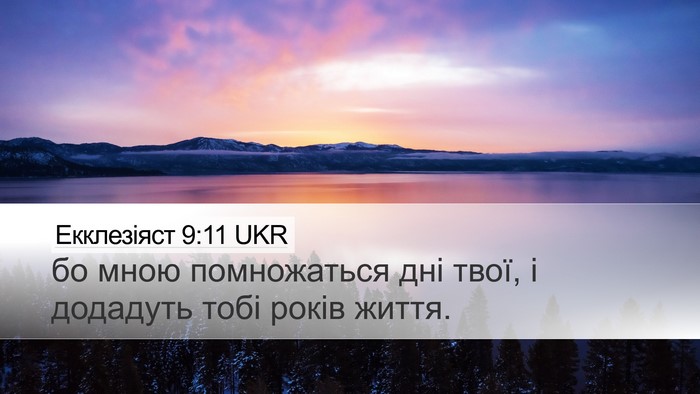 Екклезіяст 9:11 UKR Bible Verse Image