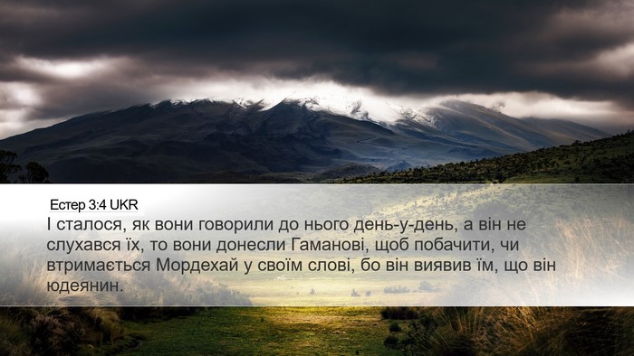 Естер 3:4 UKR Desktop Wallpaper - І сталося, як вони говорили - Desktop Bible Verse Wallpaper