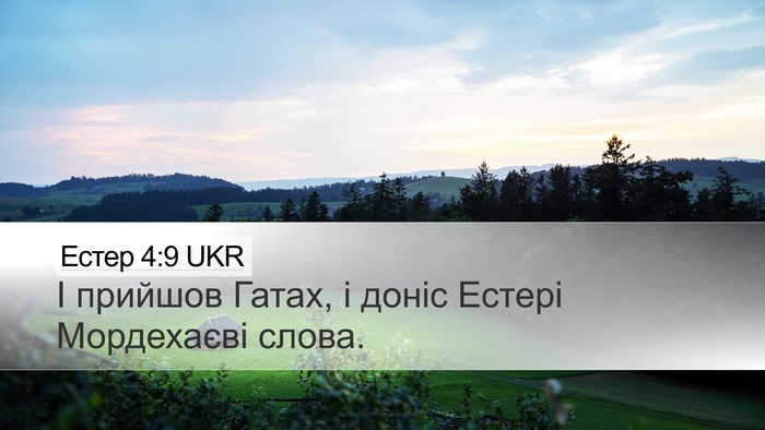 Естер 4:9 UKR Desktop Wallpaper - І прийшов Гатах, і доніс - Desktop Bible Verse Wallpaper