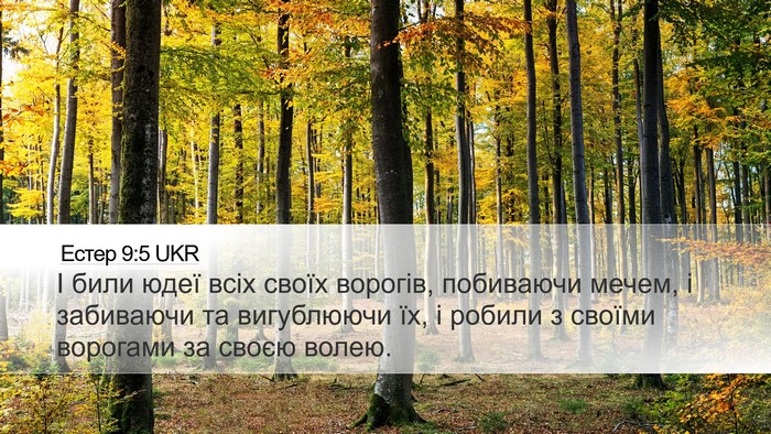 Естер 9:5 UKR Bible Verse Image
