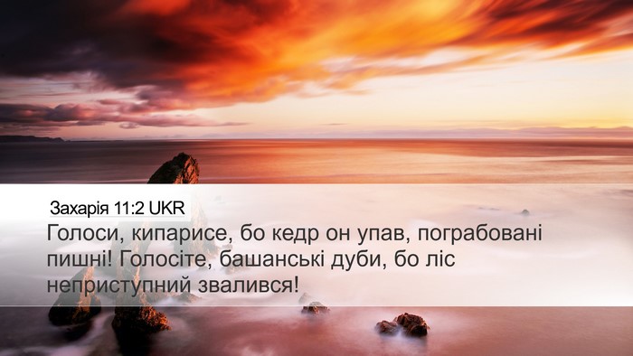 Захарія 11:2 UKR Bible Verse Image